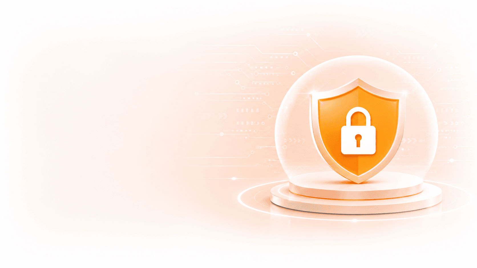 Privacy Policy Security Shield
